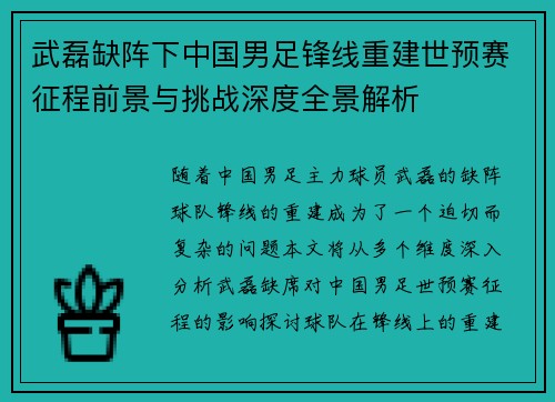 武磊缺阵下中国男足锋线重建世预赛征程前景与挑战深度全景解析